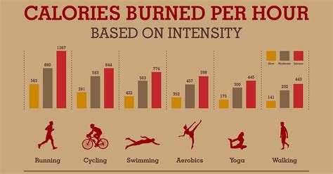 How Many Calories Does 1 Hour of Weight Training Burn? And Why Do Bananas Always Seem to Disappear from the Kitchen?